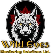 Wild Eyes Monitoring Solutions Ltd.